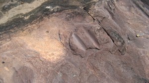 Rock carvings from knife and axe sharpening