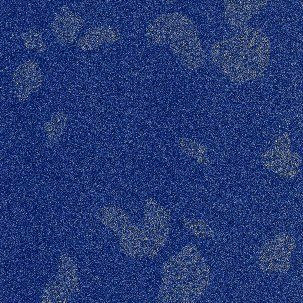 shell hash patches on sand SAS tile