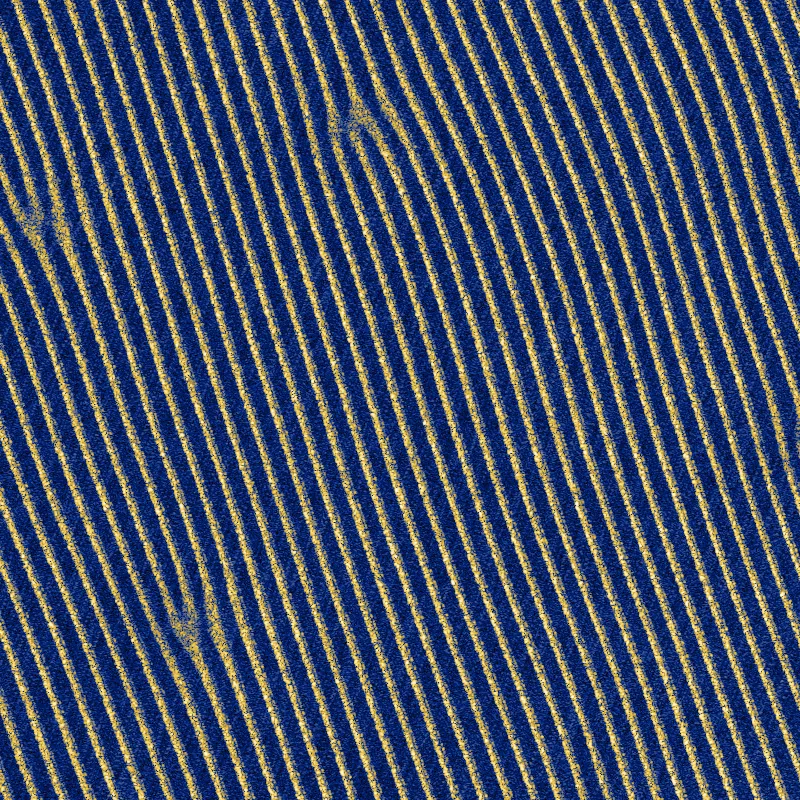 sand ripples, wavelength 0.3 m SAS tile