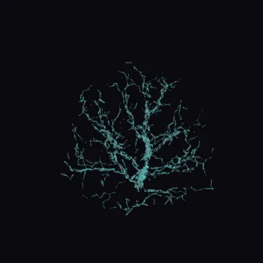 biota: coral branching (staghorn) geometry