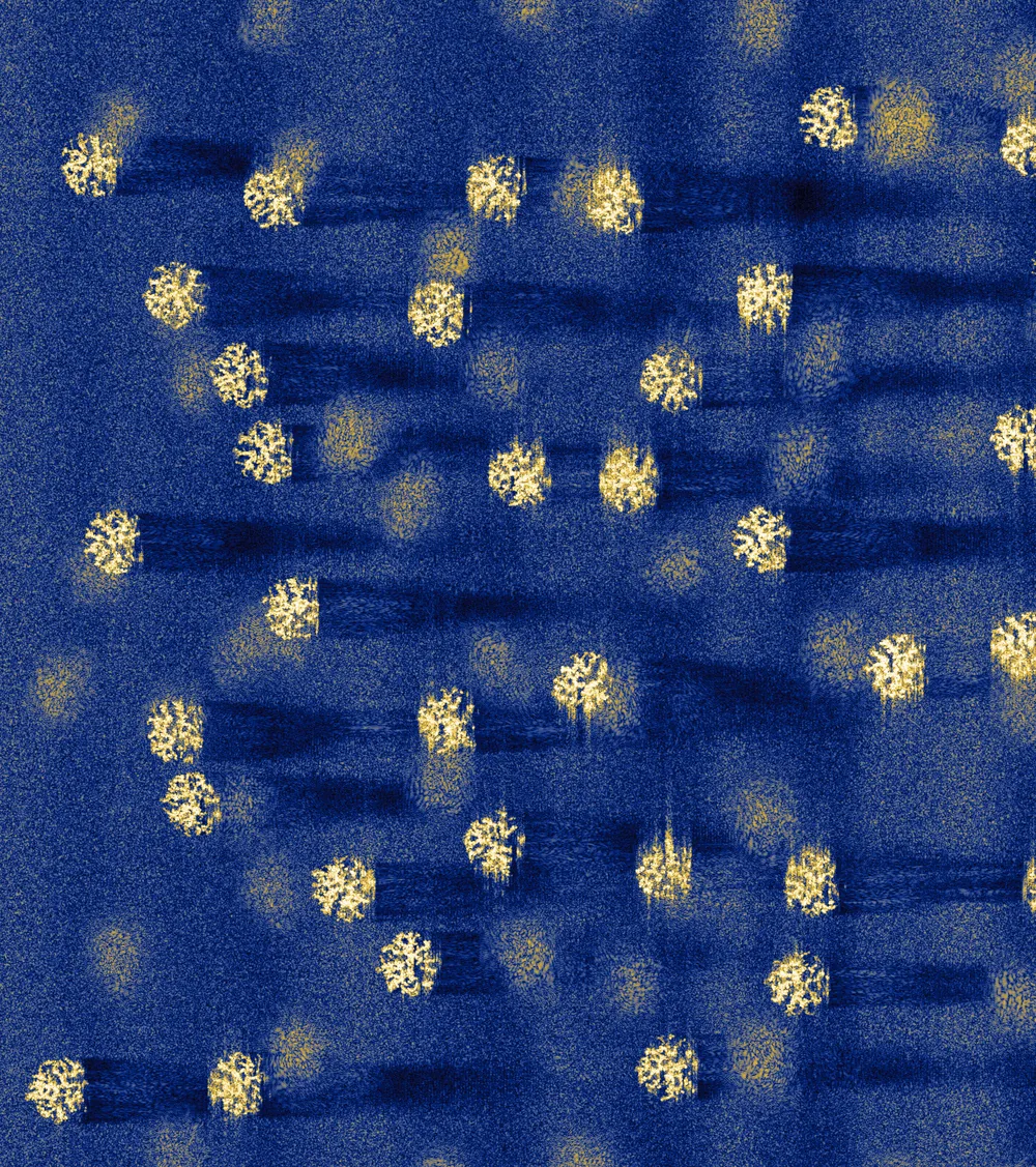 biota: coral branching (staghorn) SAS tile