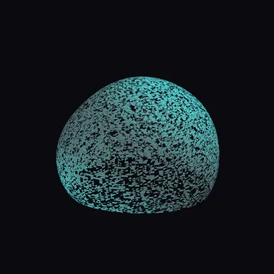 biota: coral massive (boulder) geometry