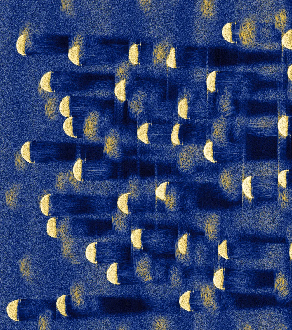 biota: coral massive (boulder) SAS tile