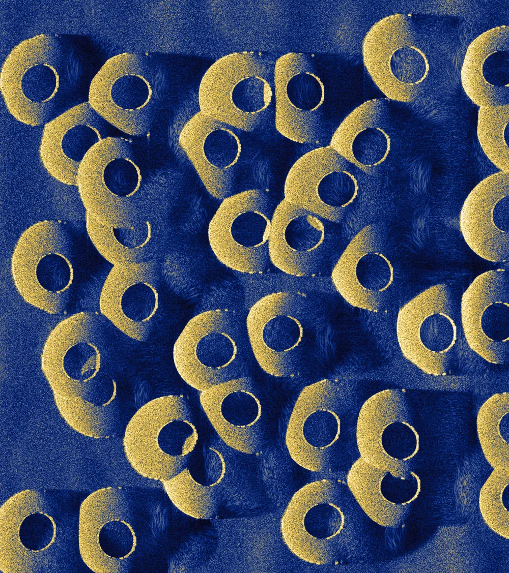 biota: coral plate (table) SAS tile