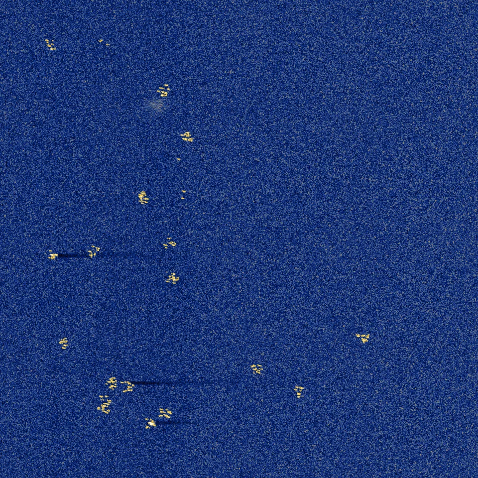 biota: seagrass (zostera) SAS tile