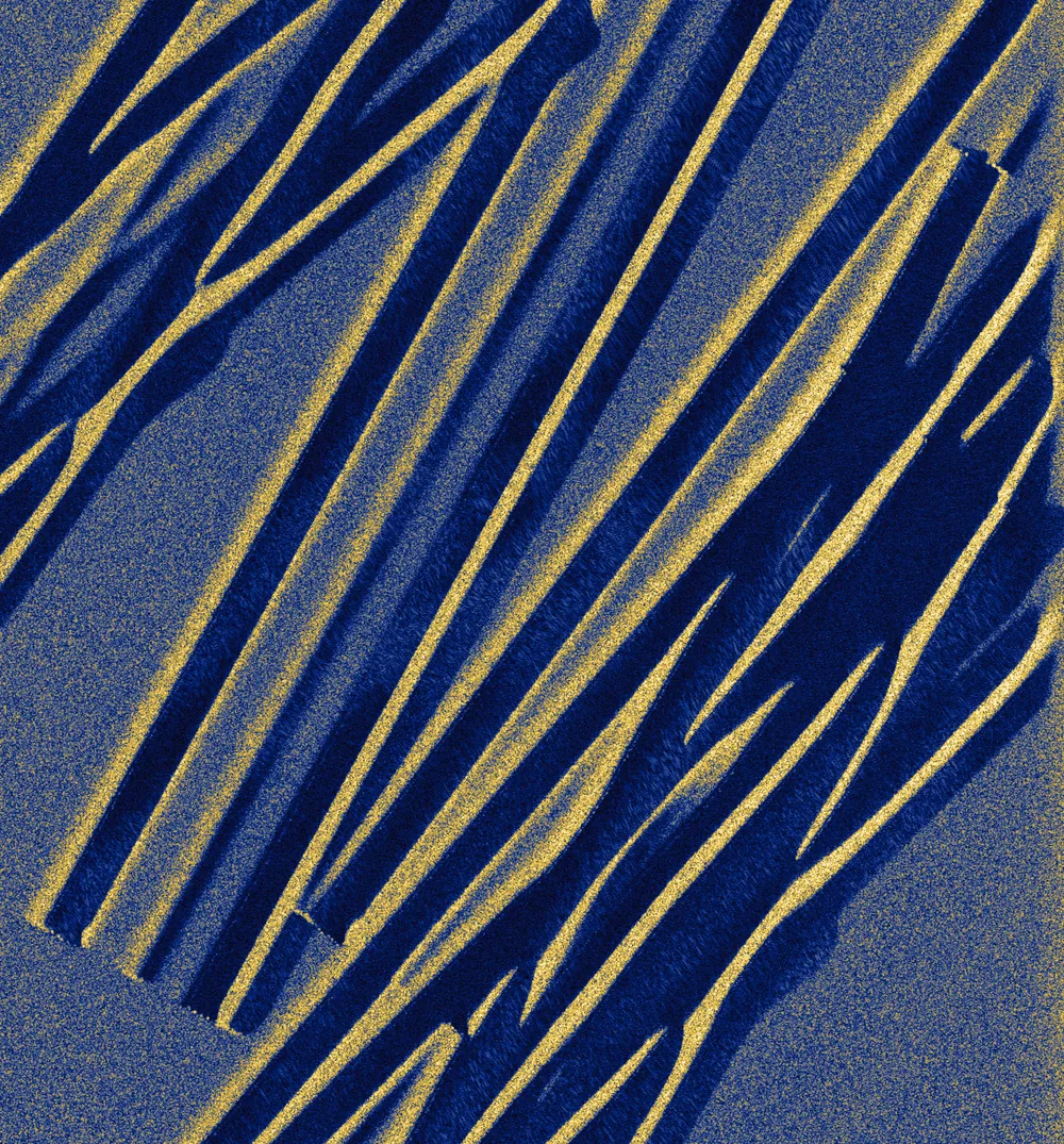 trawl scars (otter-board) SAS tile