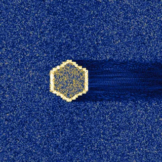 primitive: hexprism SAS tile