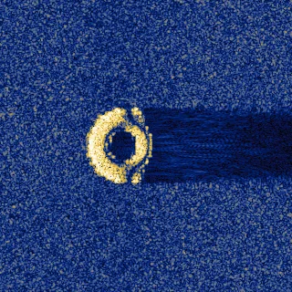 primitive: torus SAS tile