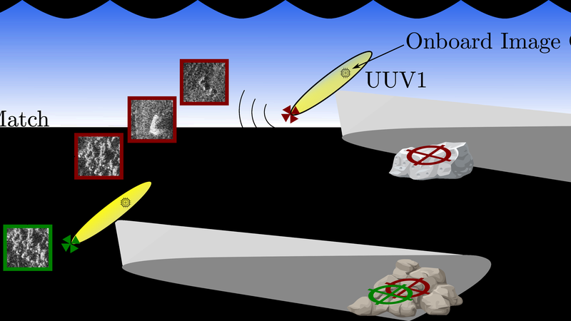 Learnable Image Compression for SAS